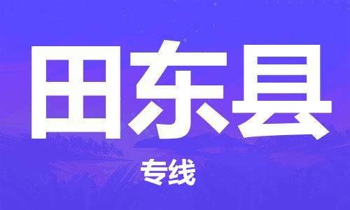 廣州到田東縣物流公司|廣州至田東縣貨運(yùn)專線